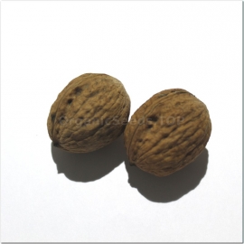 «Ideal» - Organic walnut seeds (Juglans regia)