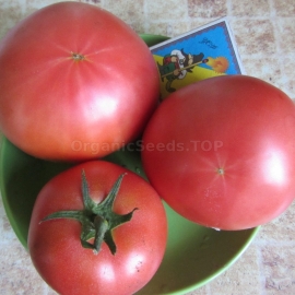 «Banzai» - Organic Tomato Seeds