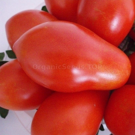 «Smilyansky Rudasa» - Organic Tomato Seeds