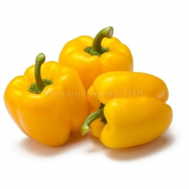 «Asti Yellow» - Organic Pepper Seeds