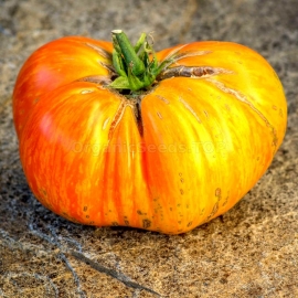 «Arkansas Marvel» - Organic Tomato Seeds