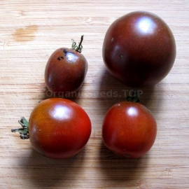 «Chadd's Ford» - Organic Tomato Seeds