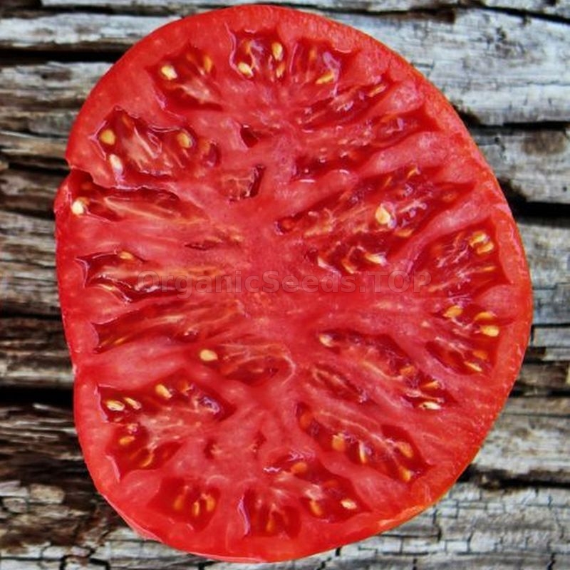 «Da Costa's Portuguese» Organic Tomato Seeds Shipping is free for