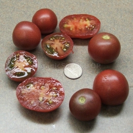 «Haley's Purple Comet» - Organic Tomato Seeds