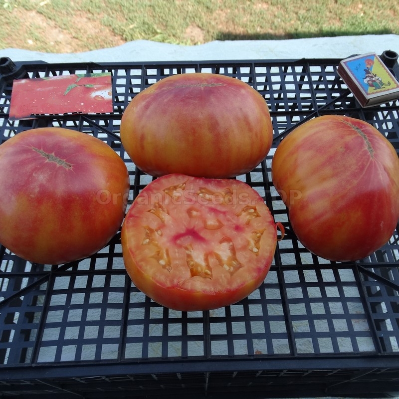 «Red Target» Organic Tomato Seeds Shipping is free for orders over €50