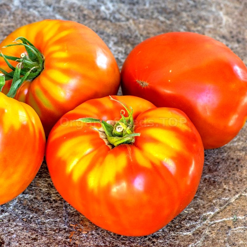 sweet tomatoes