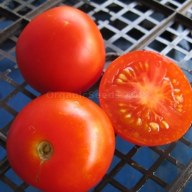 «Stupice» - Organic Tomato Seeds