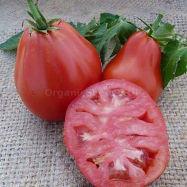 «Pink Truffle» - Organic Tomato Seeds