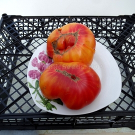 «Grapefruit» - Organic Tomato Seeds