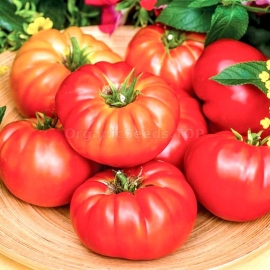 «Chameleon» - Organic Tomato Seeds