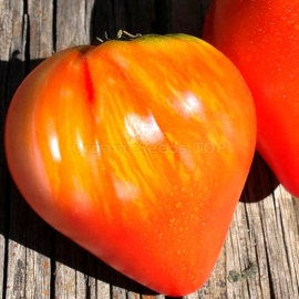 «Oxheart Striped» - Organic Tomato Seeds