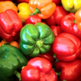 «Top Grill» - Organic Pepper Seeds