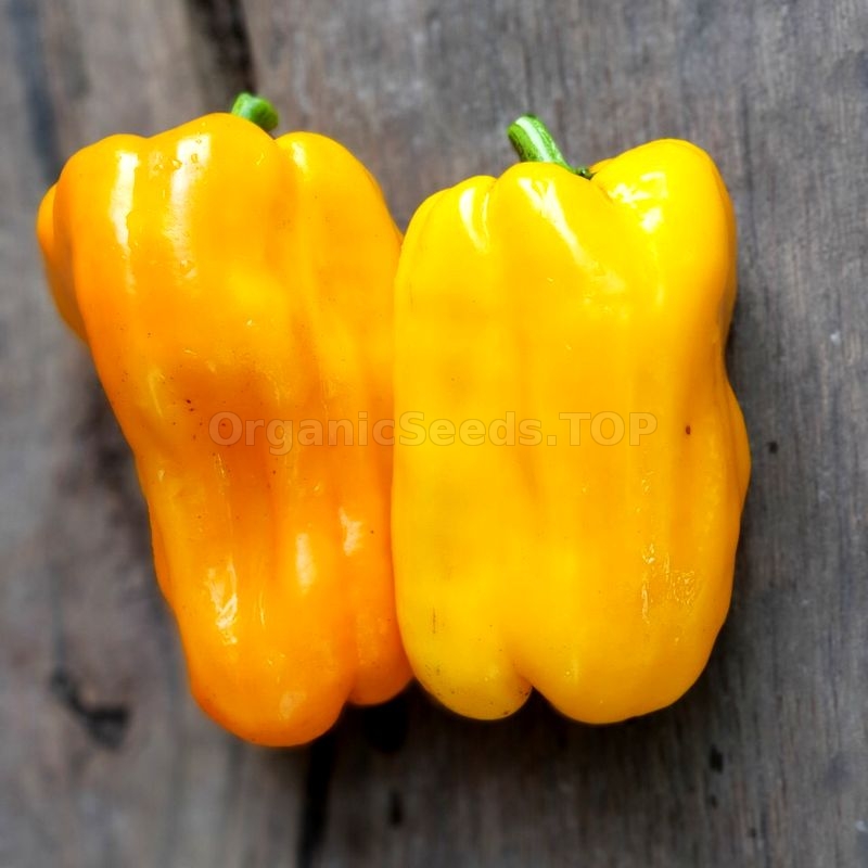 «Australian» Organic Pepper Seeds Shipping is free for orders over €50