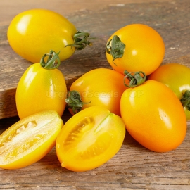 «Datterini Yellow» - Organic Tomato Seeds