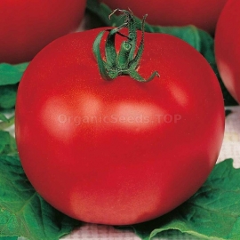 «Ballad» - Organic Tomato Seeds