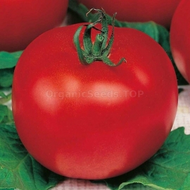 «Visa» - Organic Tomato Seeds