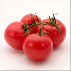 «Riddle» - Organic Tomato Seeds