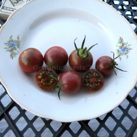 «Beach cherry» - Organic Tomato Seeds