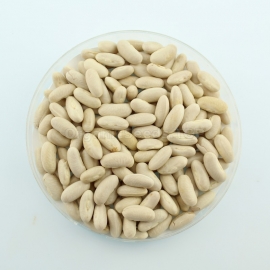 «Golden Tippy» - Organic Bean Seeds