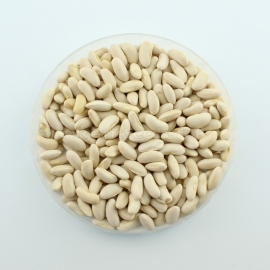 «Orinoco» - Organic Bean Seeds