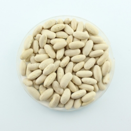 «Yutta» - Organic Bean Seeds