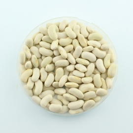 «Nassau» - Organic Bean Seeds