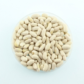 «Golden Sachs» - Organic Bean Seeds
