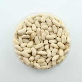 «Kseniya» - Organic Bean Seeds