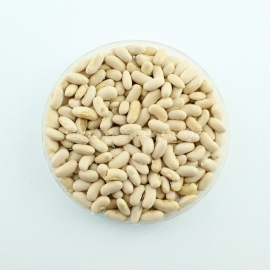 «Beauty» - Organic Bean Seeds
