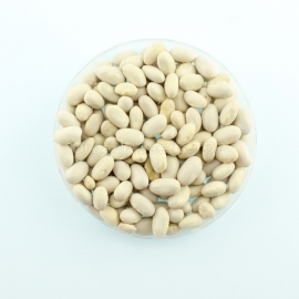 «Marconi» - Organic Bean Seeds