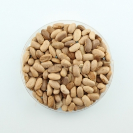 «Blauhilda» - Organic Bean Seeds