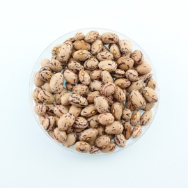 «Borlotto» - Organic Bean Seeds