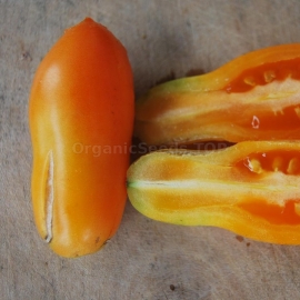 «Midas» - Organic Tomato Seeds