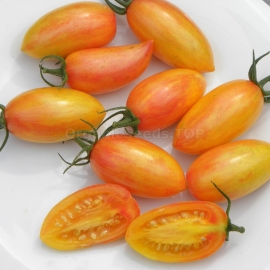 «Blush» - Organic Tomato Seeds