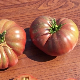 «Black Rose» - Organic Tomato Seeds