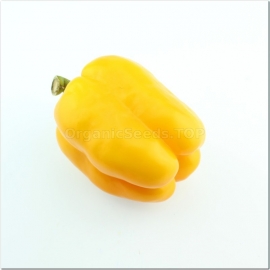 «Orange giant» - Organic Pepper Seeds