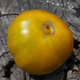 «Gruene Helarios» - Organic Tomato Seeds