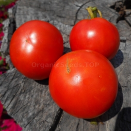 «June» - Organic Tomato Seeds
