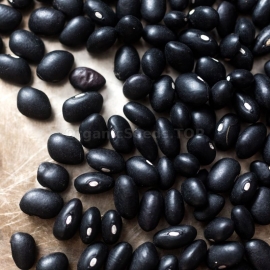 «Preto» - Organic Bean Seeds