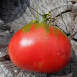 «Lee's Sweet» - Organic Tomato Seeds