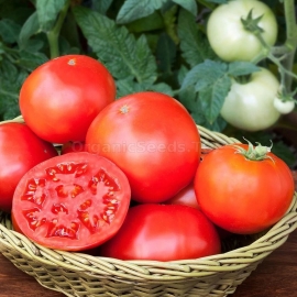 «Igranda» - Organic Tomato Seeds