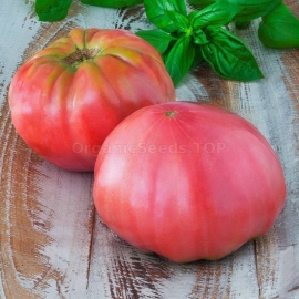 «Royal gift» - Organic Tomato Seeds