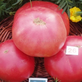 «Saharnyj pudovichok» - Organic Tomato Seeds