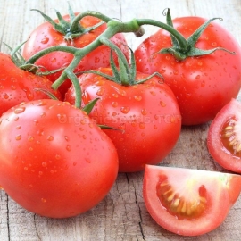 «Volgograd 5/95» - Organic Tomato Seeds