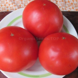 «King of the giants» - Organic Tomato Seeds