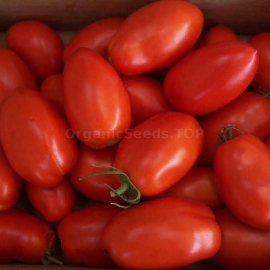 «Tender» - Organic Tomato Seeds