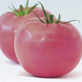 «Pink Titanium» - Organic Tomato Seeds