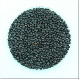 «Beluga» - Organic Black Lentil Seeds