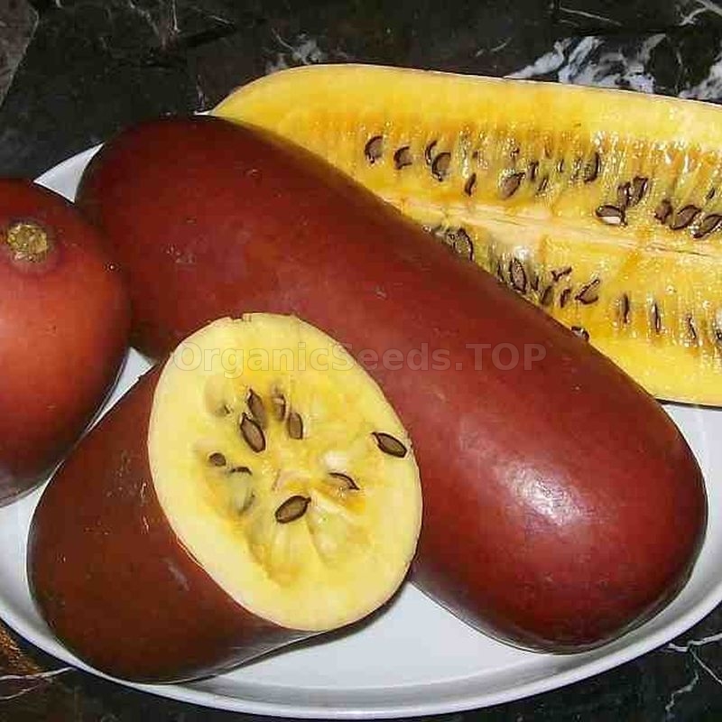 Images Sikana Aromatic Organic Seeds (Sicana odorifera) Shipping is