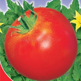 «Madonna» - Organic Tomato Seeds